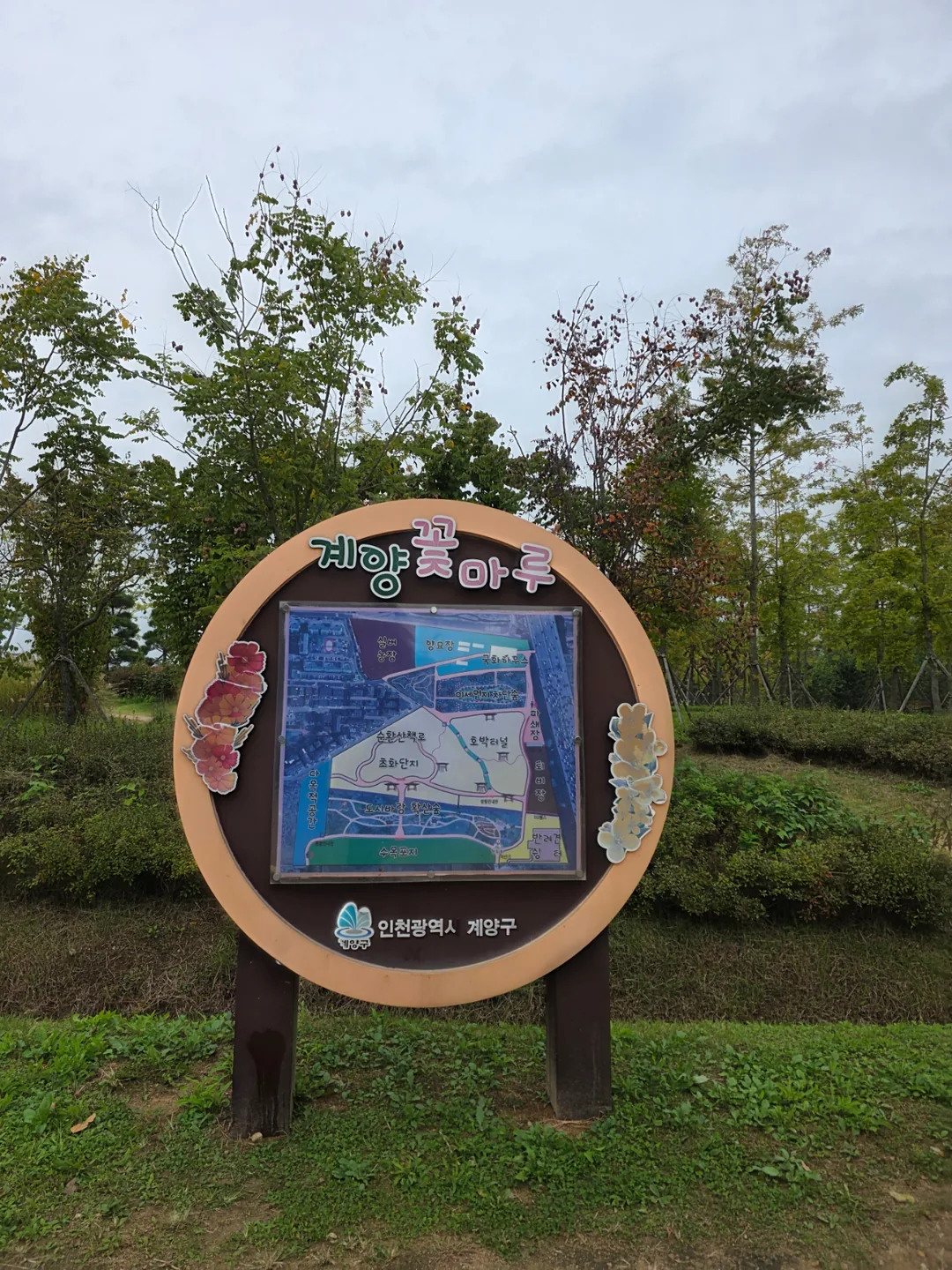 Du lịch) Đồi hoa Gyeyang