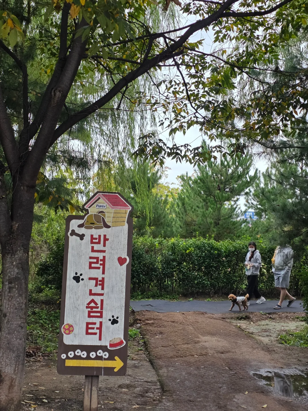 Du lịch) Đồi hoa Gyeyang