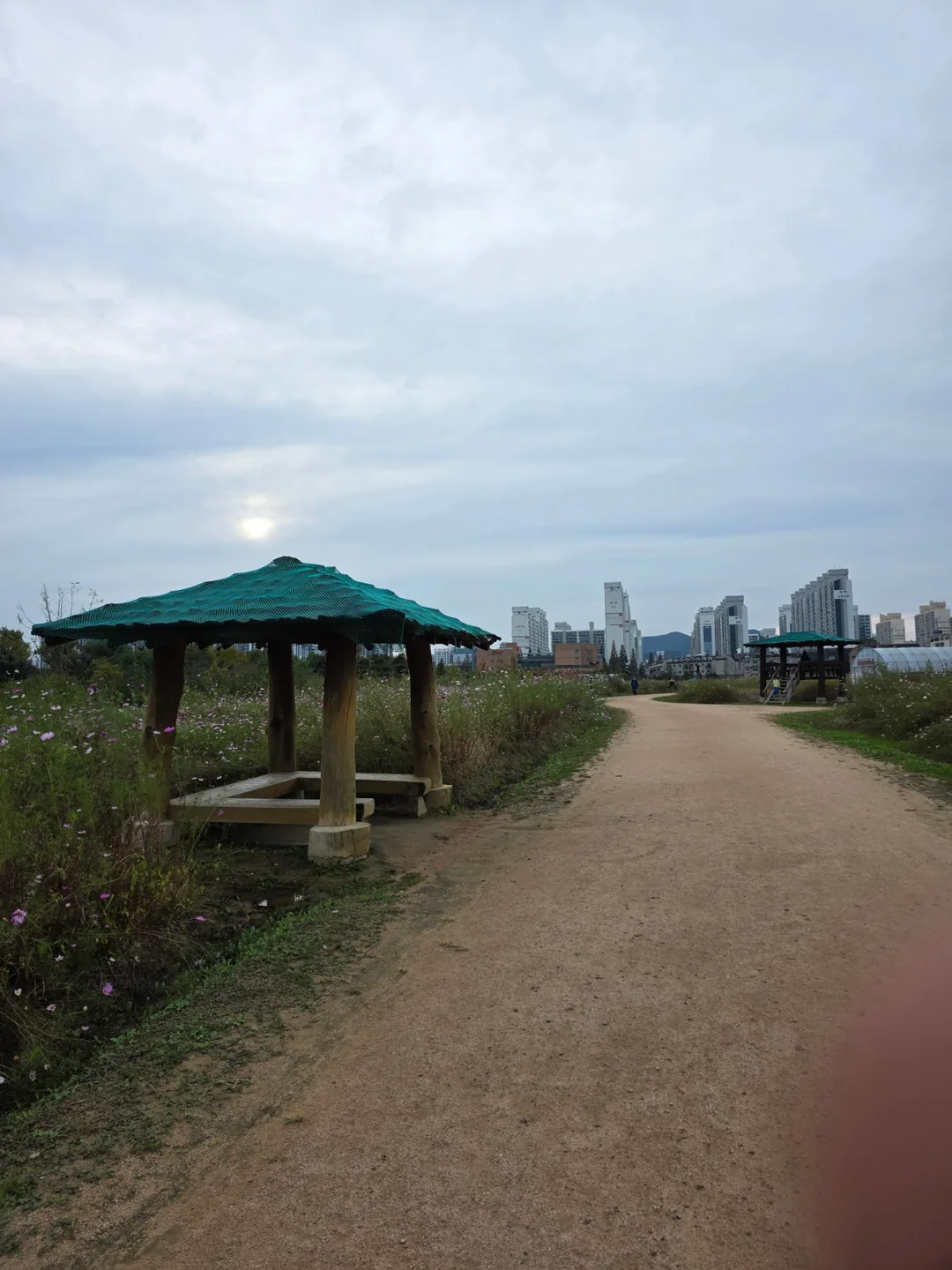 Du lịch) Đồi hoa Gyeyang
