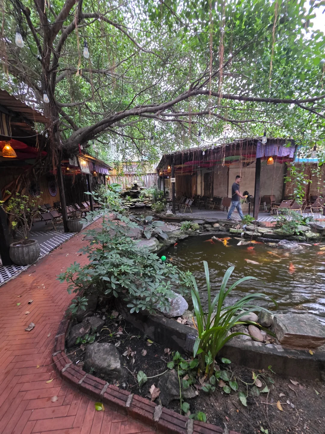 ✈️ Quán cà phê Cua Ngò (Cua Ngo Cafe) phía chợ Hàn đỉnh lắm luôn! Nhất định phải ghé thử nha~
