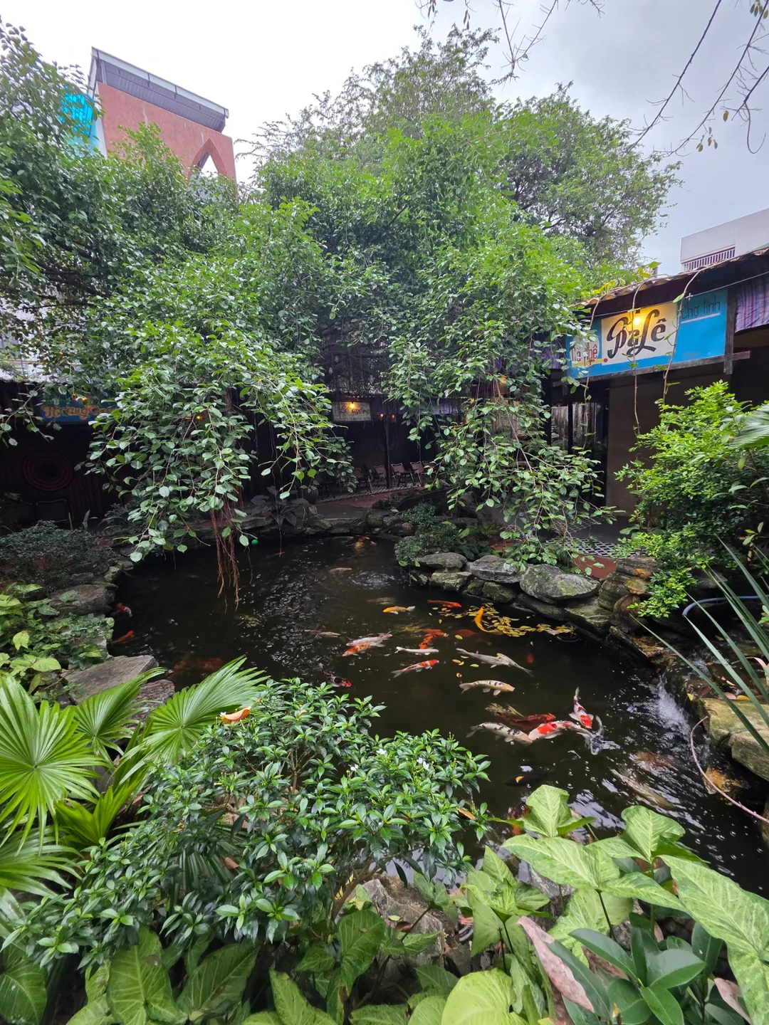 ✈️ Quán cà phê Cua Ngò (Cua Ngo Cafe) phía chợ Hàn đỉnh lắm luôn! Nhất định phải ghé thử nha~