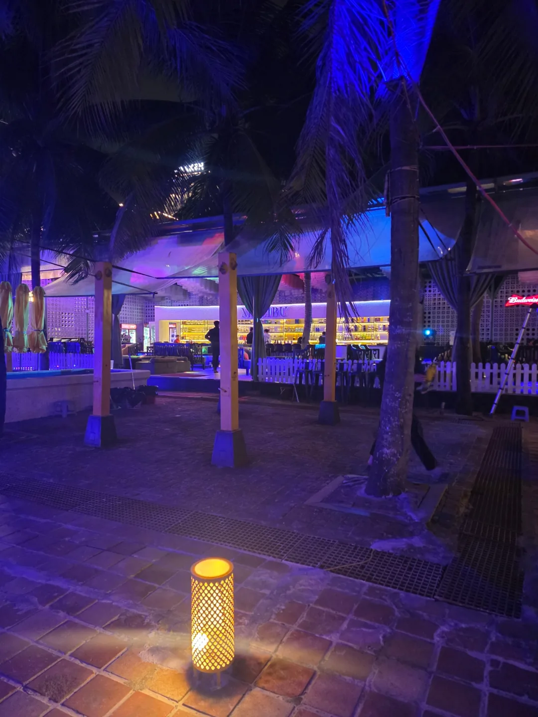 ✈️ Mikevich Malibu Beach Club - Malibu Beach Club - Seaside Chill & Cocktails