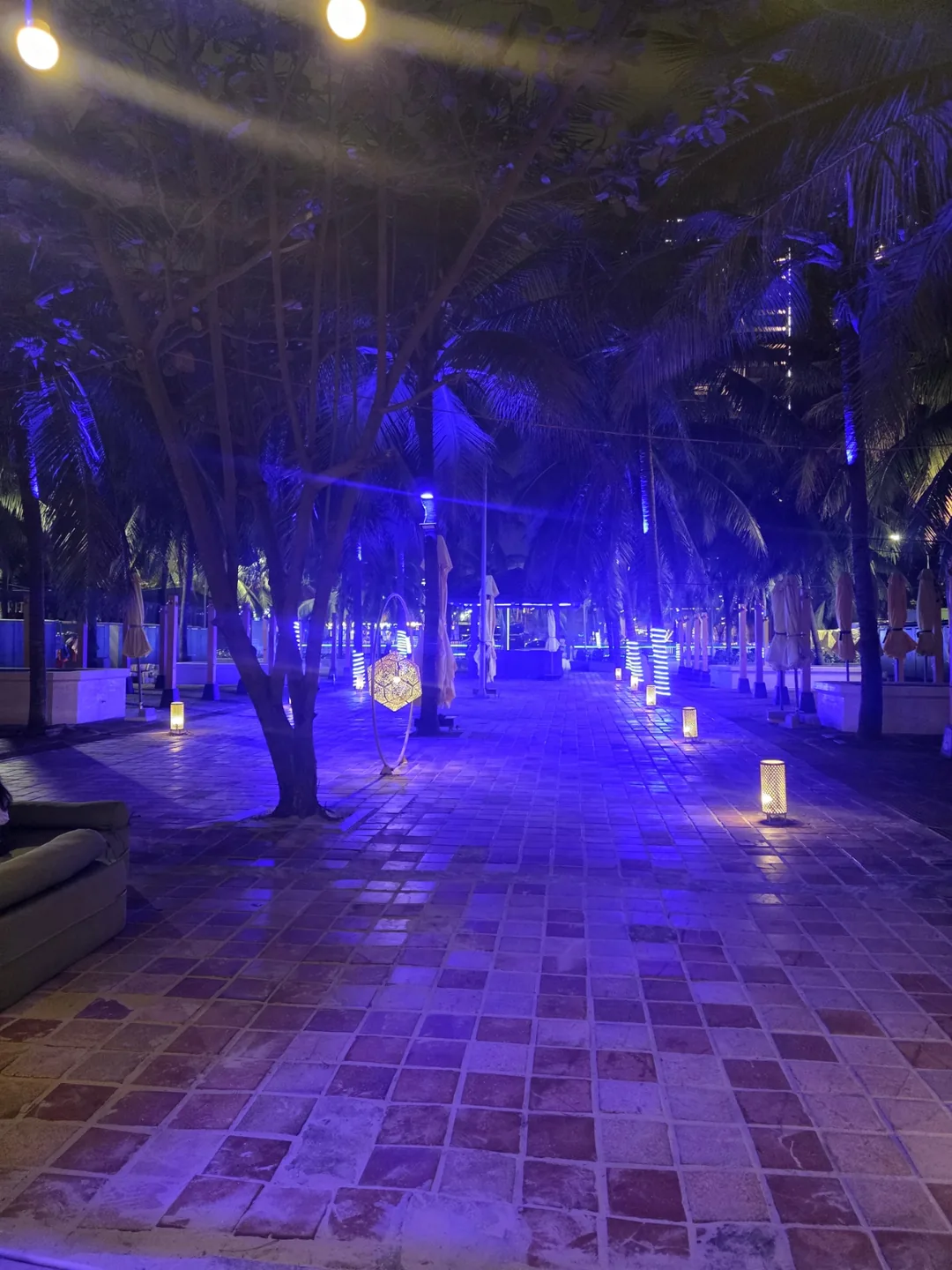 ✈️ Mikevich Malibu Beach Club - Malibu Beach Club - Seaside Chill & Cocktails