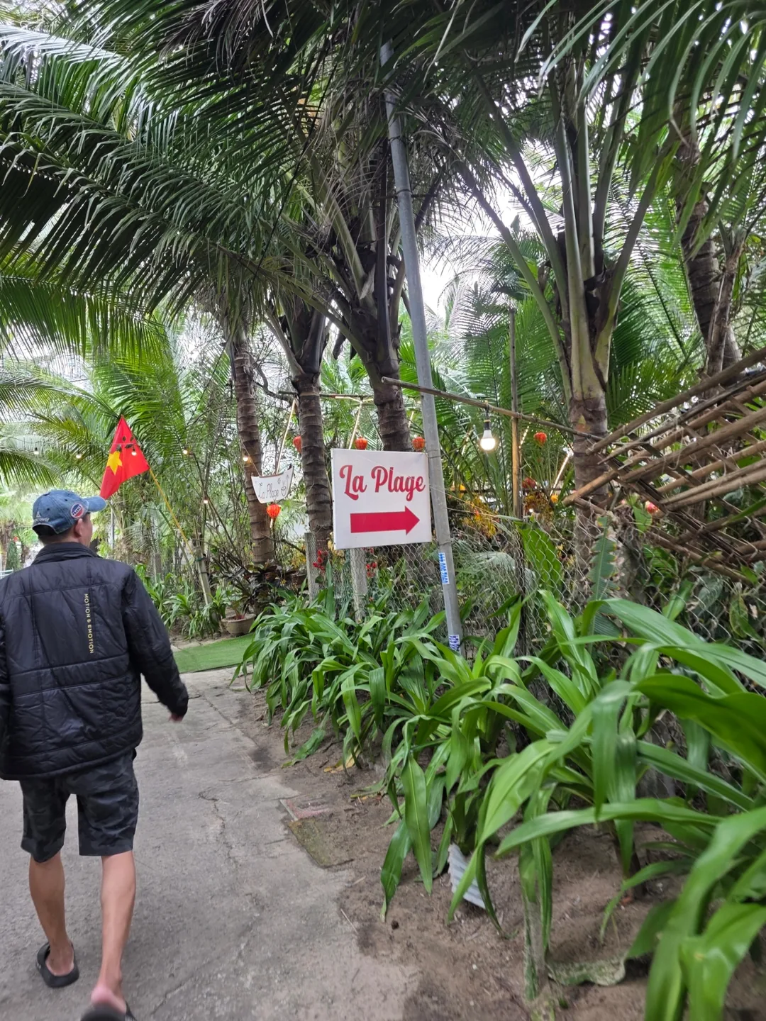 ✈️Thuê xe tự lái Đà Nẵng