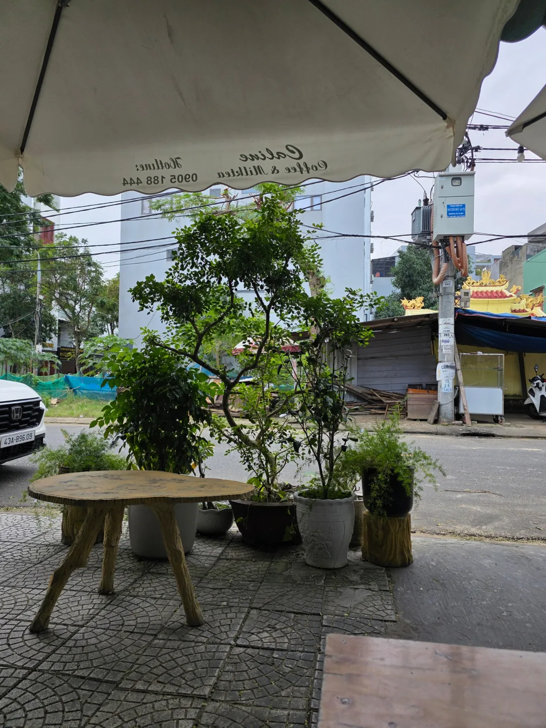 ✈️ Quán cà phê địa phương - Caline Coffee & Milktea