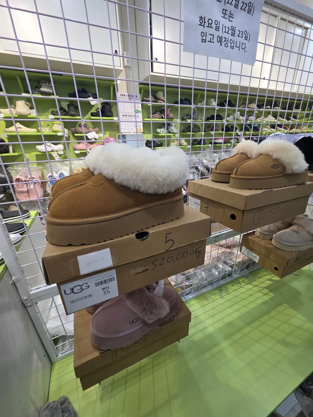 ✈️ Đúng là ngày đi lại trùng ngày chợ phiên~Chuyển phát ICT không có ủng ugg