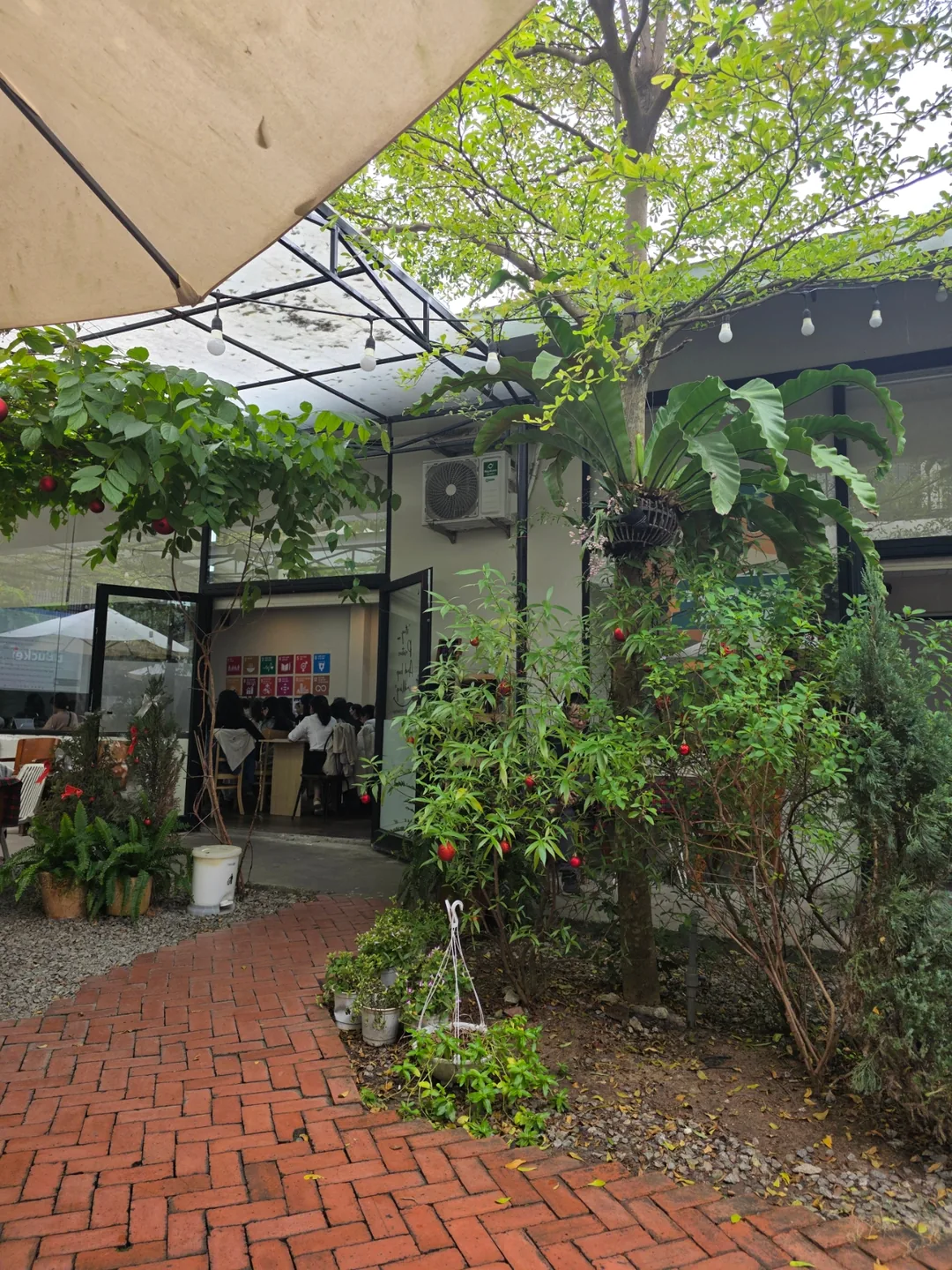 ✈️ Quán cà phê có phòng đào tạo - webe Coffee