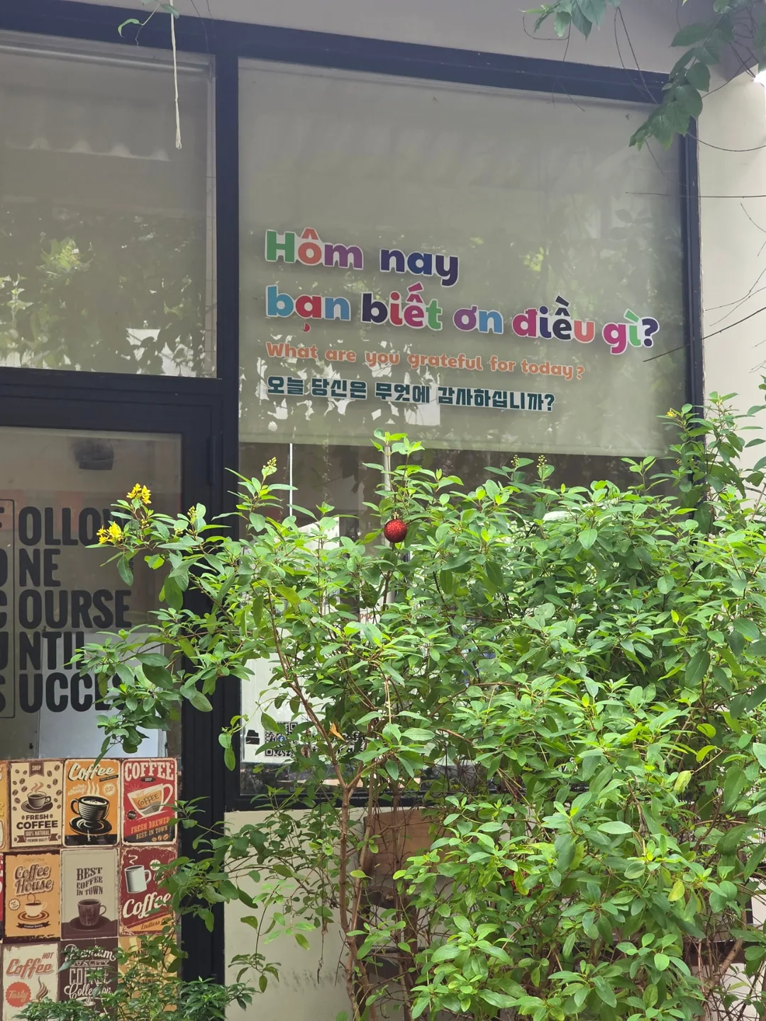 ✈️ Quán cà phê có phòng đào tạo - webe Coffee