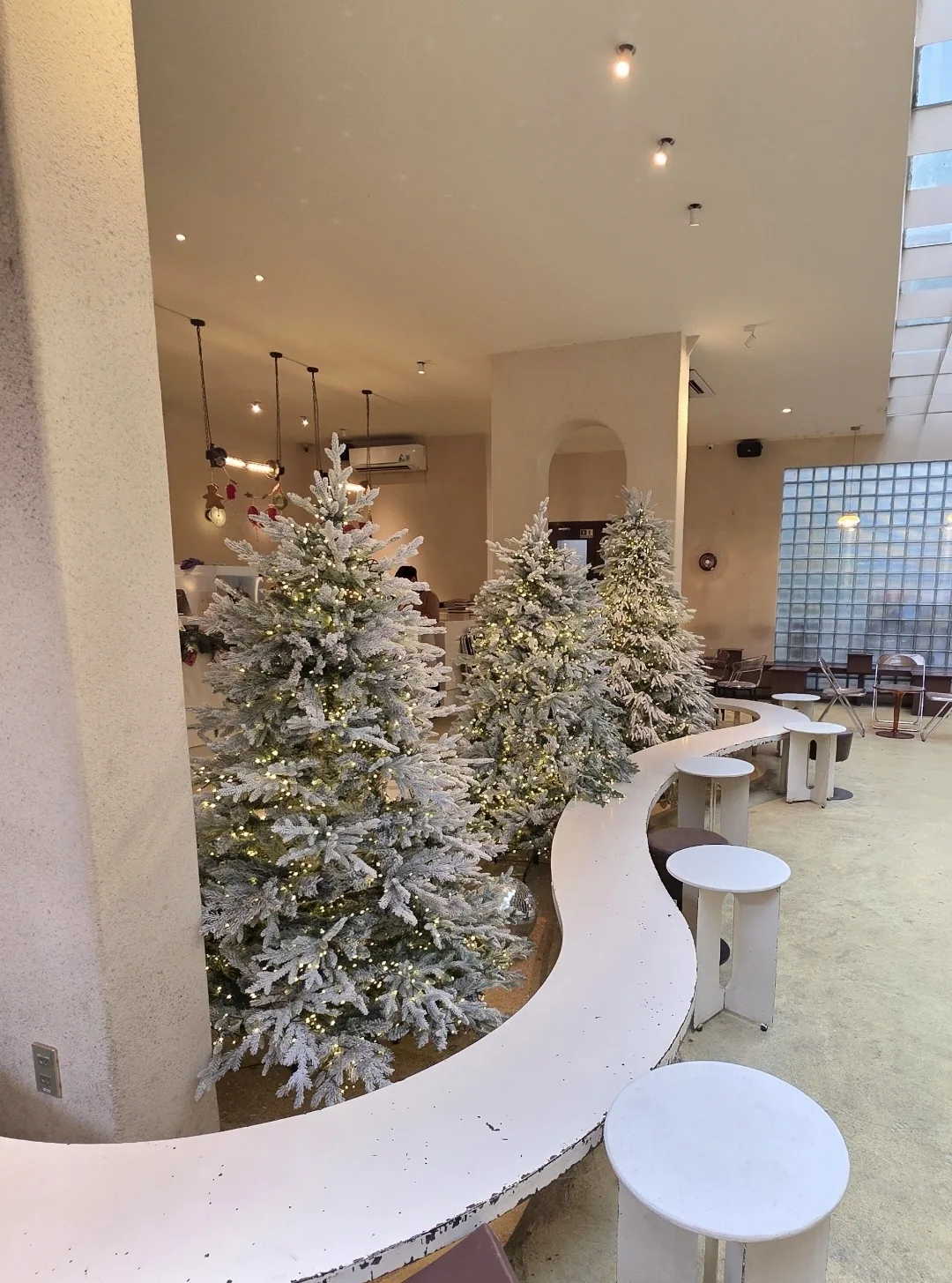 ✈️Chuyến du lịch mà mình đã ngắm rất nhiều cây thông Noel