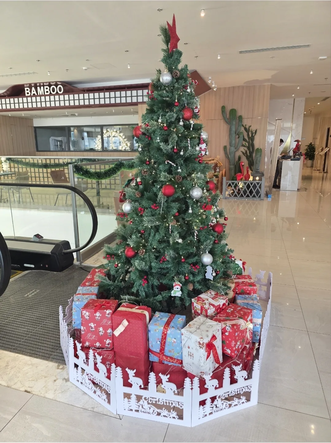 ✈️Chuyến du lịch mà mình đã ngắm rất nhiều cây thông Noel