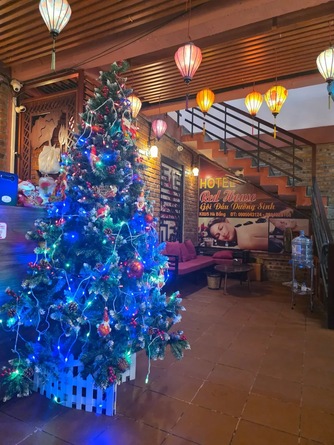 ✈️Chuyến du lịch mà mình đã ngắm rất nhiều cây thông Noel