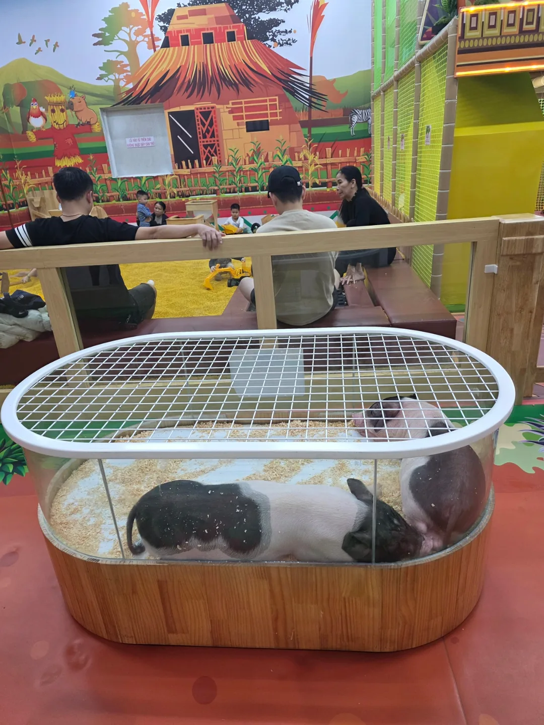 ✈️ Tham quan MM Supercenter Đà Nẵng (MM Supercenter Danang) vừa mới khai trương tại Đà Nẵng