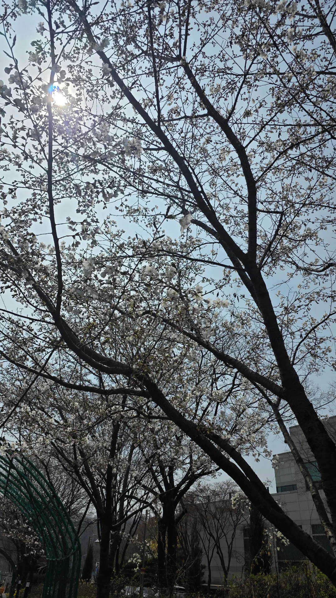 Thời tiết đẹp quá~