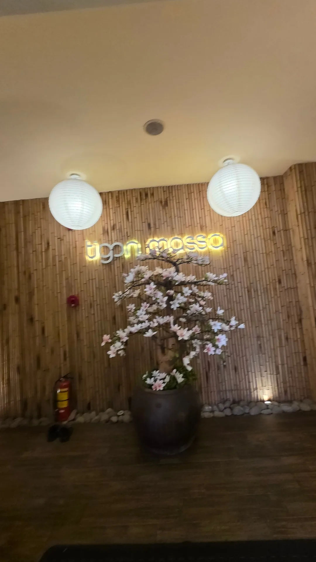 ✈️ Tigon Spa Đà Nẵng
Tigon massa - Spa & Massage Đà Nẵng