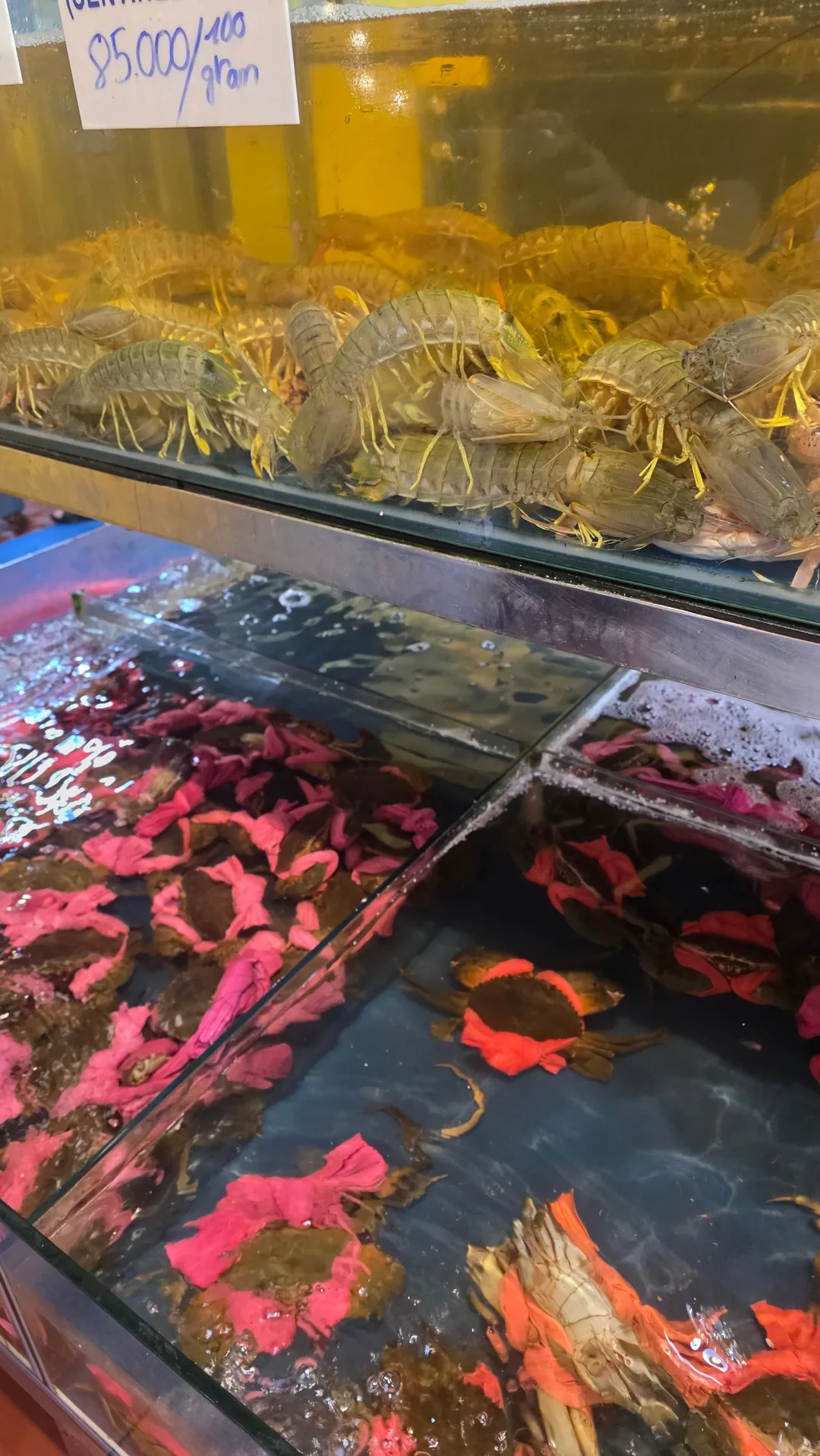 ✈️Đã đến Đà Nẵng rồi thì đi ăn hải sản ngon thả ga thôi nào~😁