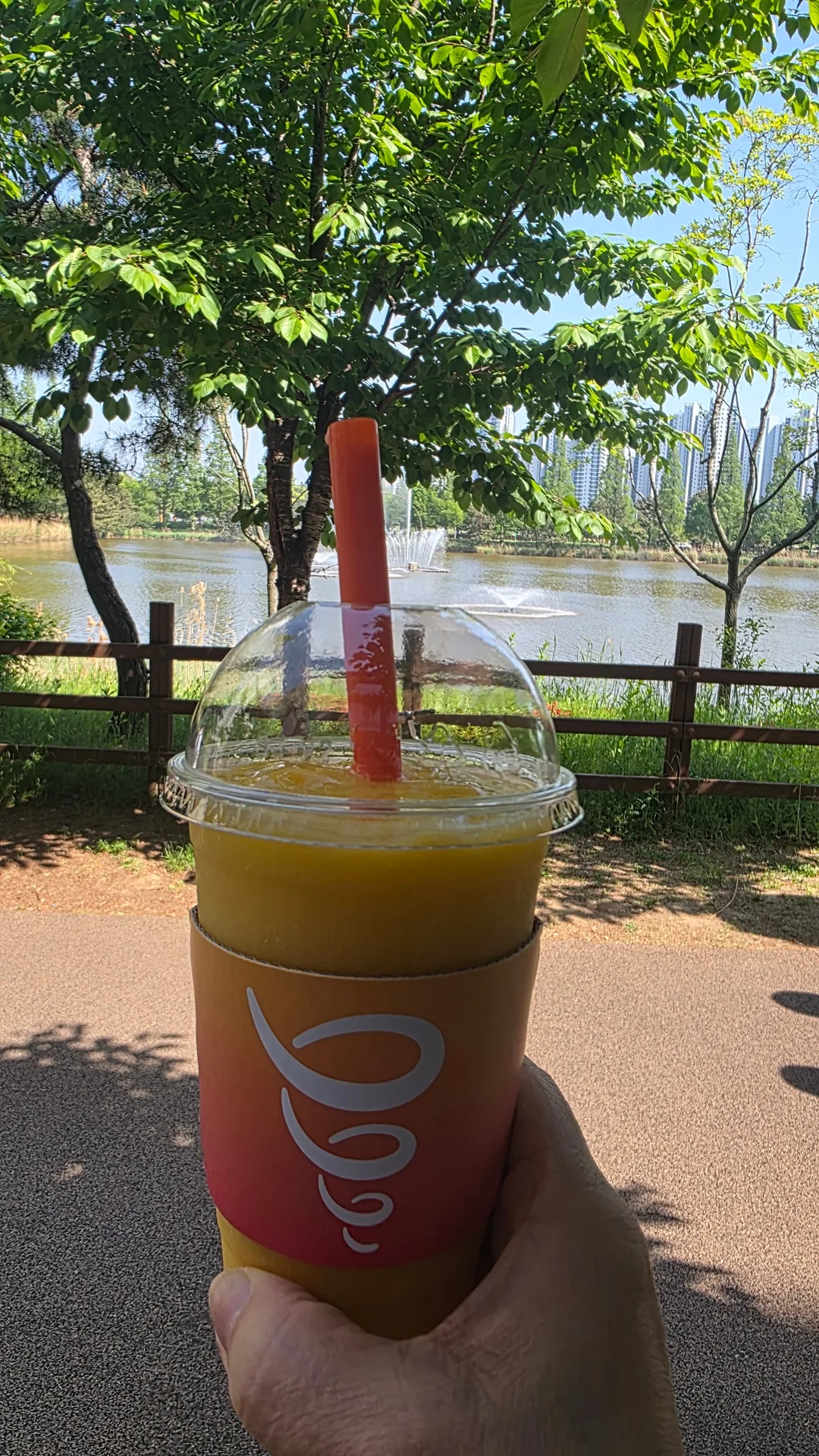Một ngày nghỉ đầy nắng