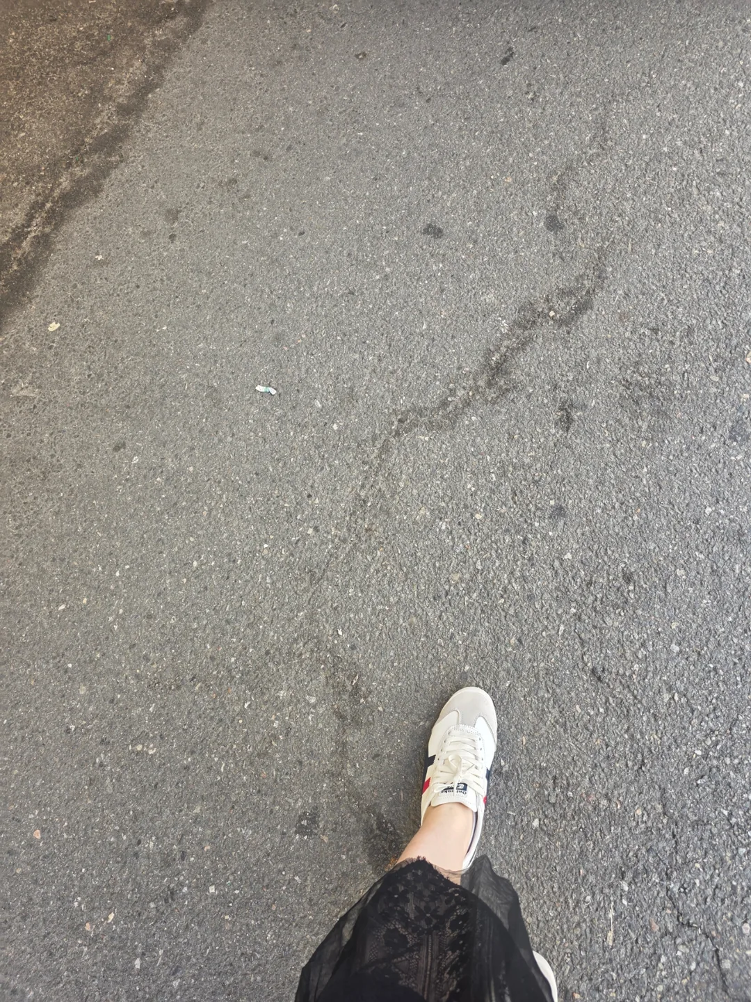 ✈️ Giày sneaker fake giá chợ - giày sneaker Onitsuka Tiger