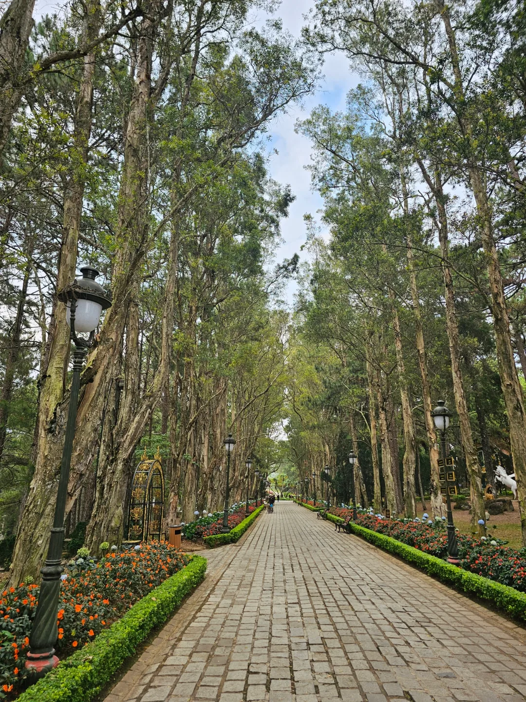 (Du lịch) 🇻🇳 Dinh Bảo Đại Đà Lạt