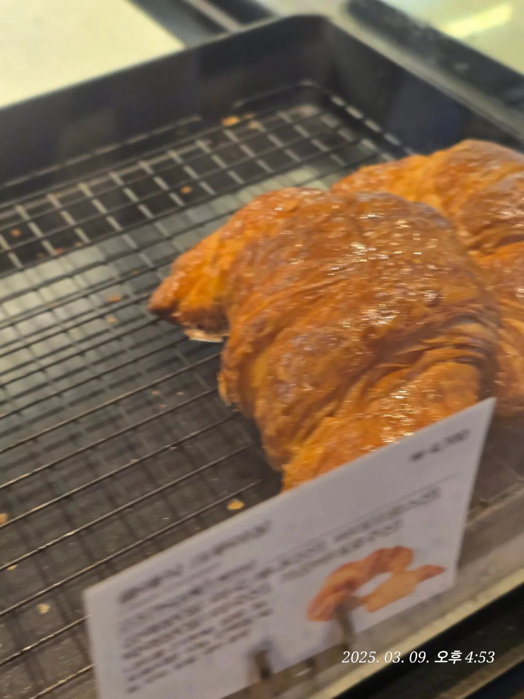 (Du lịch) Hồ chứa Mulwang Quán cà phê Sao☕️