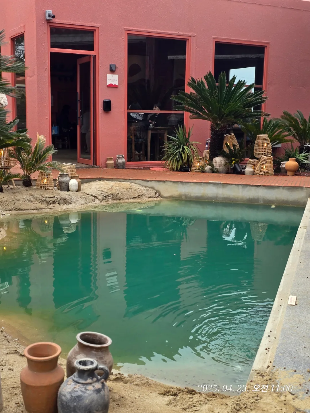 (Du lịch) Quán cà phê Jeju Oasis 80