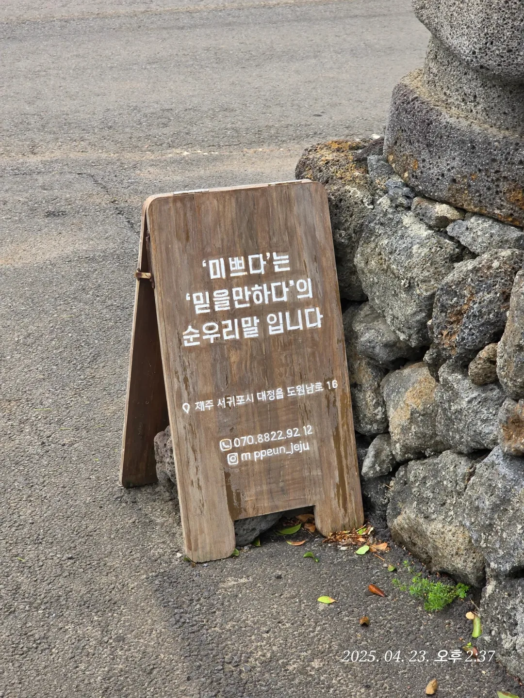 (Du lịch) Tiệm bánh Mippeun Jeju🥐