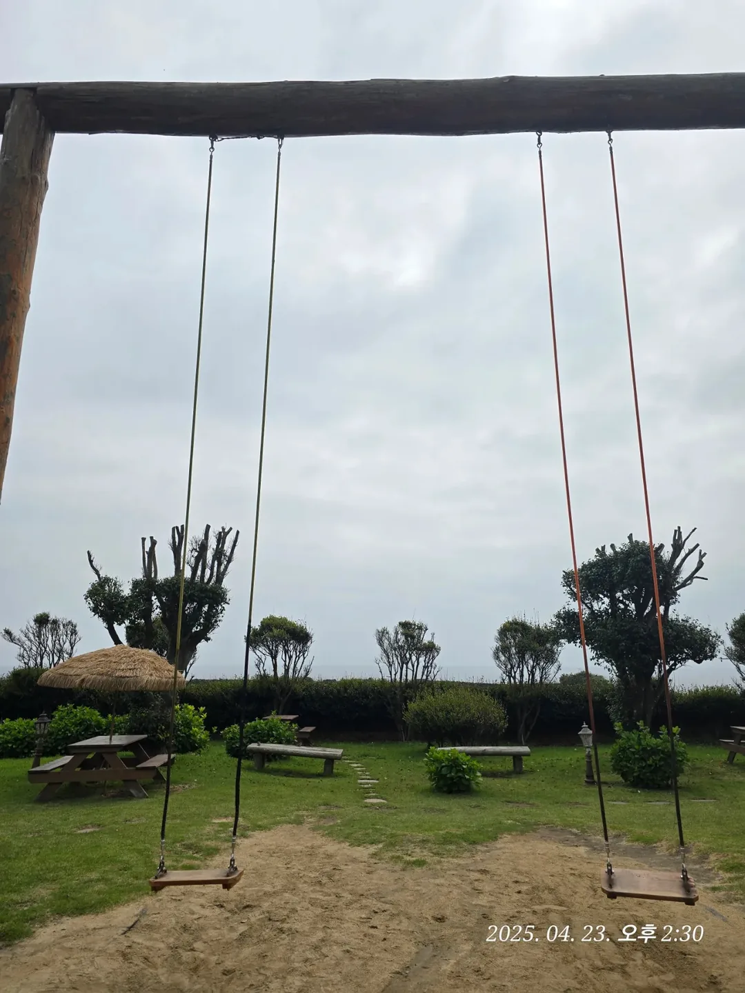 (Du lịch) Tiệm bánh Mippeun Jeju🥐