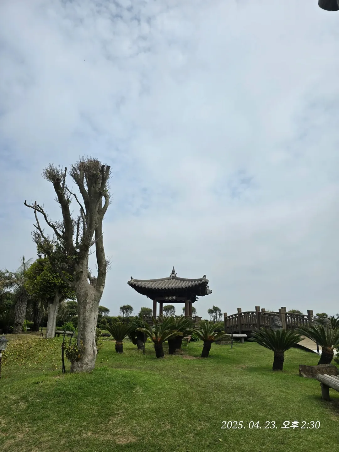 (Du lịch) Tiệm bánh Mippeun Jeju🥐