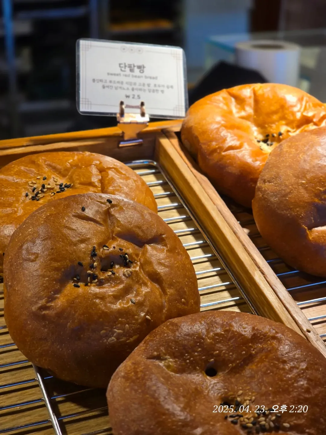 (Du lịch) Tiệm bánh Mippeun Jeju🥐