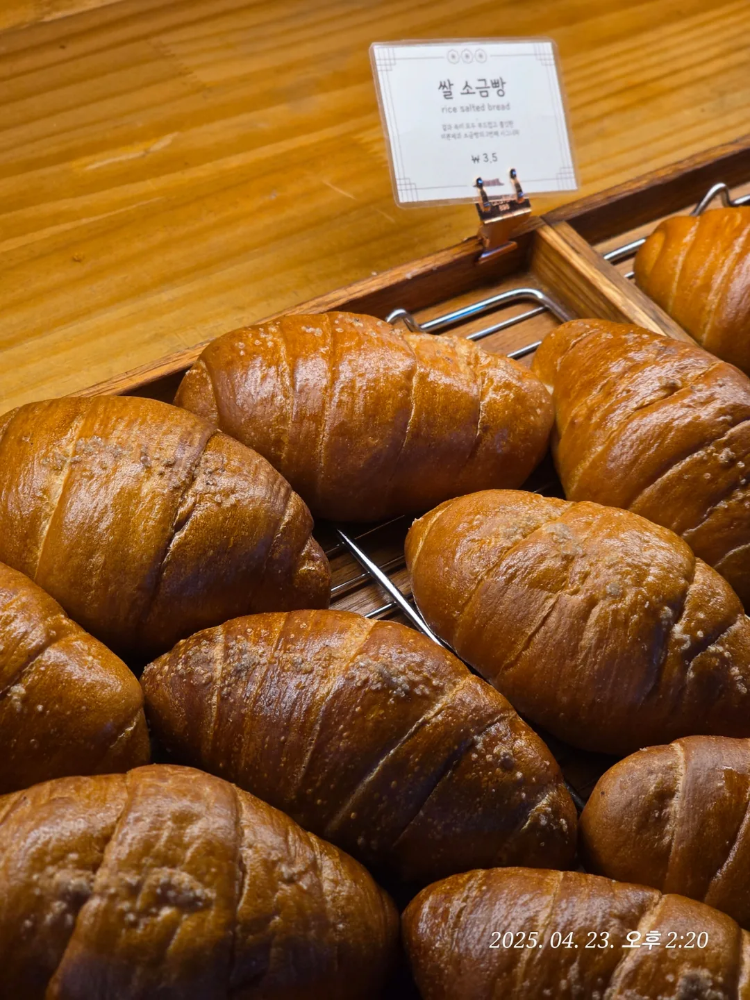 (Du lịch) Tiệm bánh Mippeun Jeju🥐