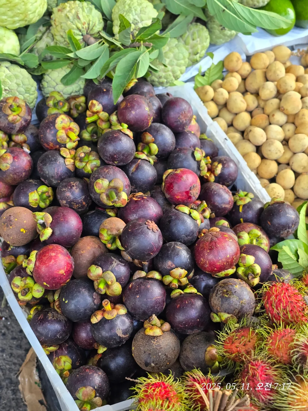 🇻🇳 Mua sắm chợ Bà Chiểu🥭