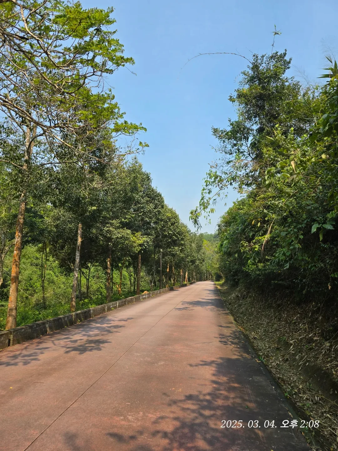 [Review Đà Nẵng ✈️] Thánh địa Mỹ Sơn 3 (ngoại truyện)