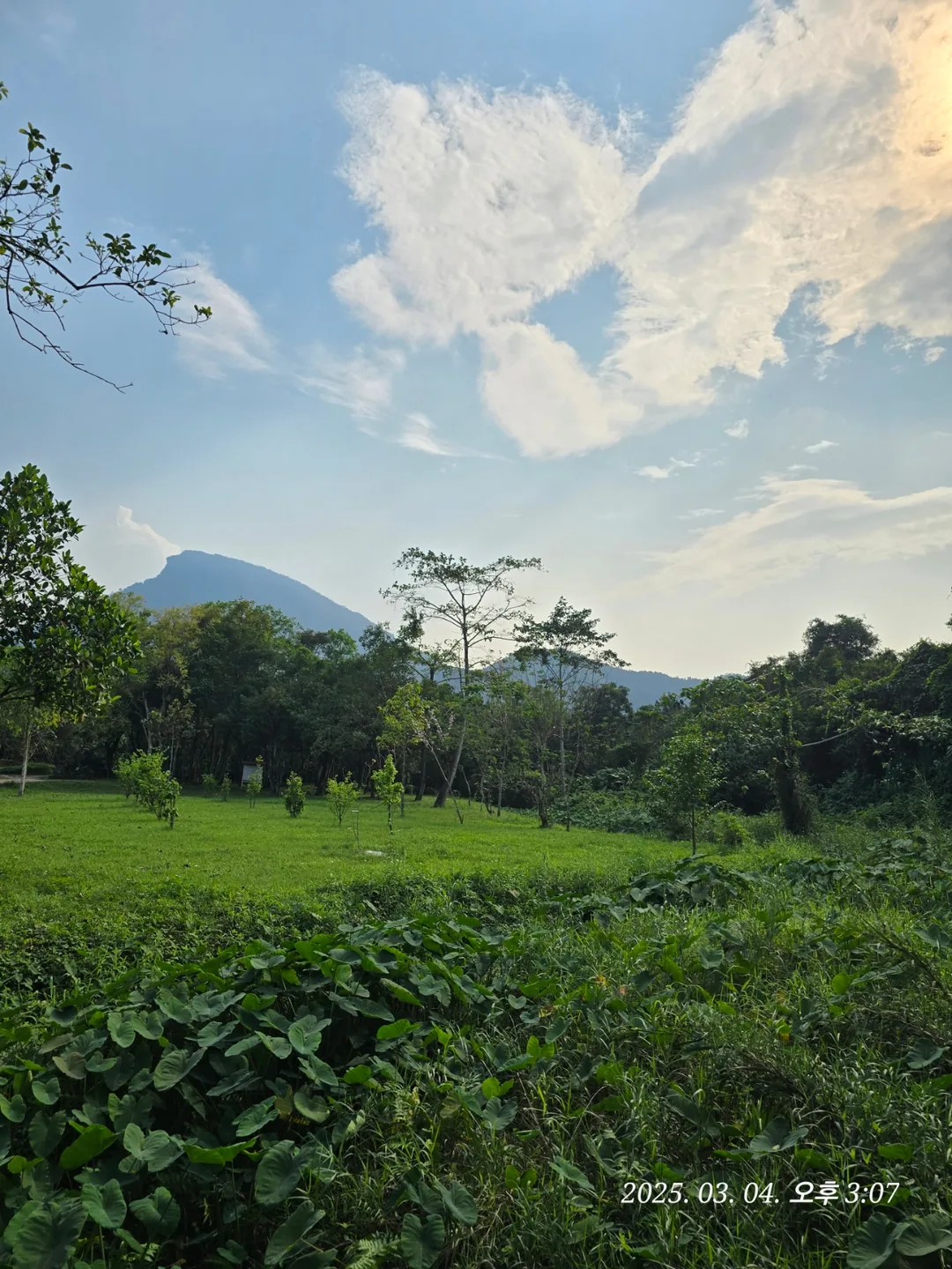 [Review Đà Nẵng ✈️] Thánh địa Mỹ Sơn 3 (ngoại truyện)