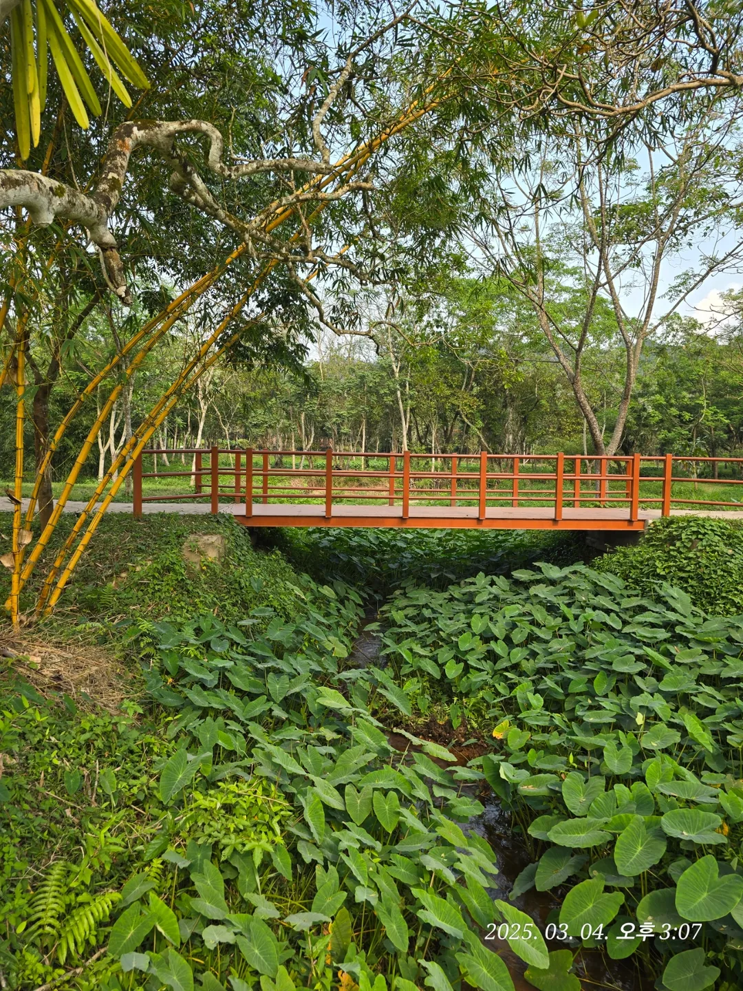 [Review Đà Nẵng ✈️] Thánh địa Mỹ Sơn 3 (ngoại truyện)