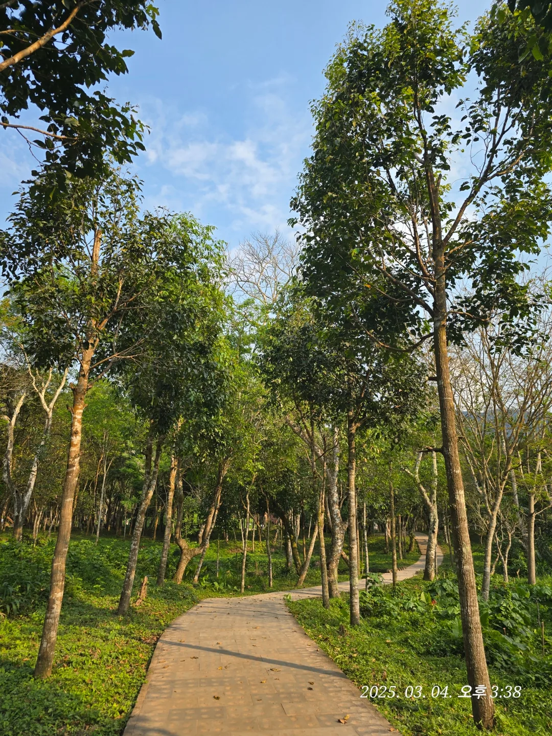 [Review Đà Nẵng ✈️] Thánh địa Mỹ Sơn 3 (ngoại truyện)