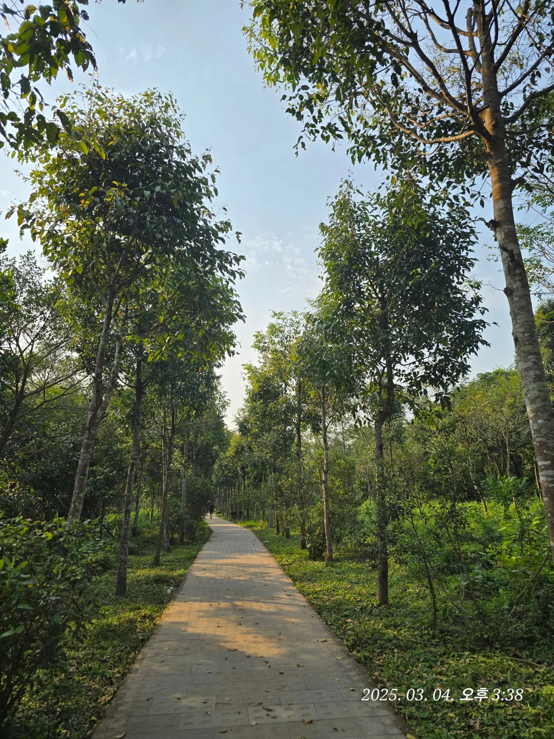 [Review Đà Nẵng ✈️] Thánh địa Mỹ Sơn 3 (ngoại truyện)