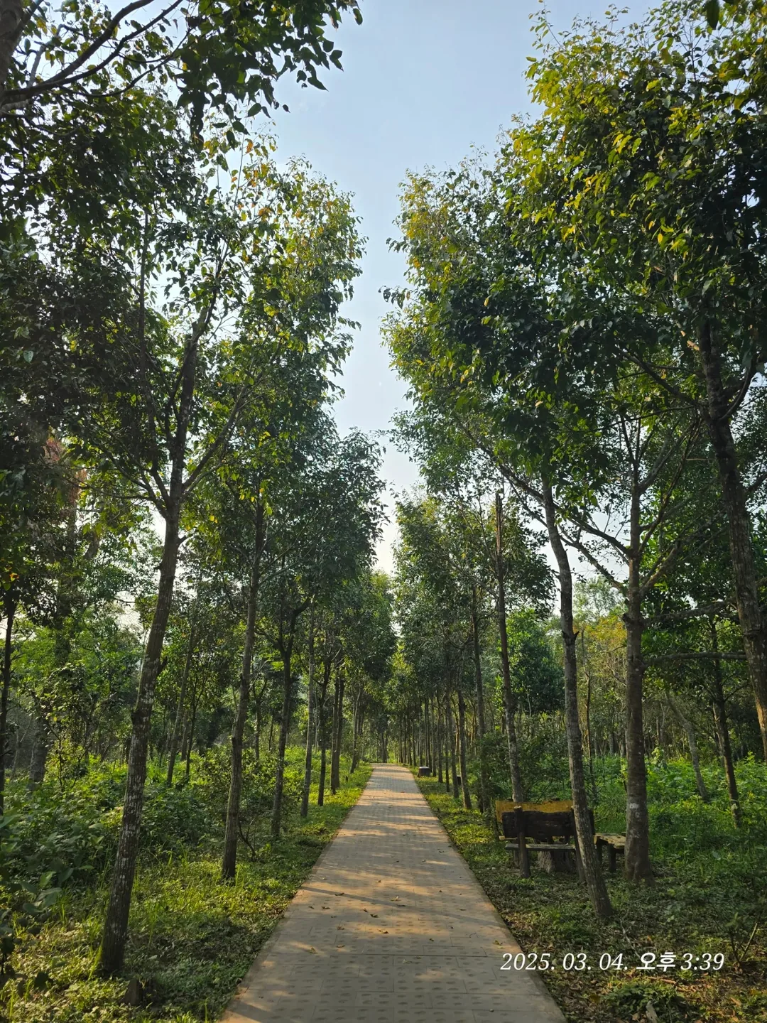 [Review Đà Nẵng ✈️] Thánh địa Mỹ Sơn 3 (ngoại truyện)