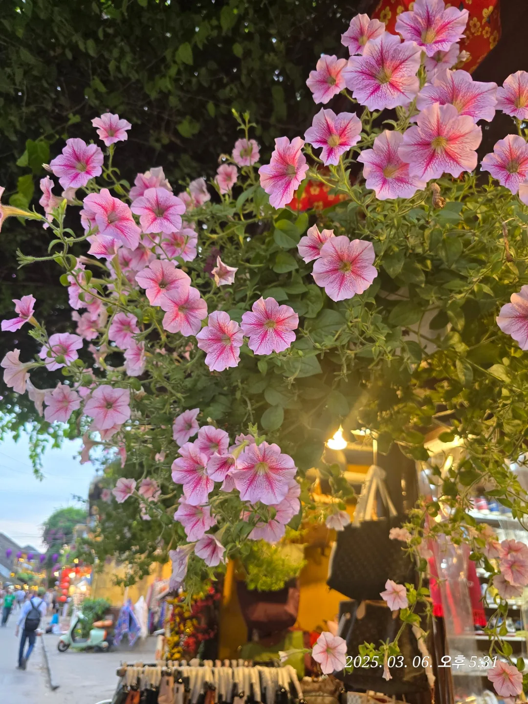 🇻🇳 [Review Đà Nẵng ✈️] Phố cổ Hội An