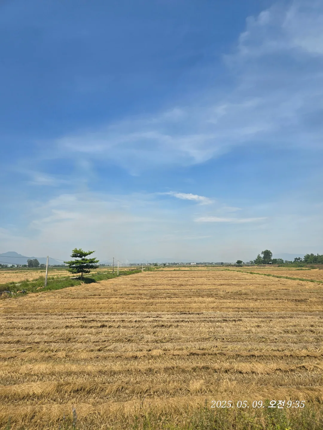 🇻🇳 Review Đà Nẵng ✈️ Lên đườ~~ng đi ngắm view ruộng lúa nào!!