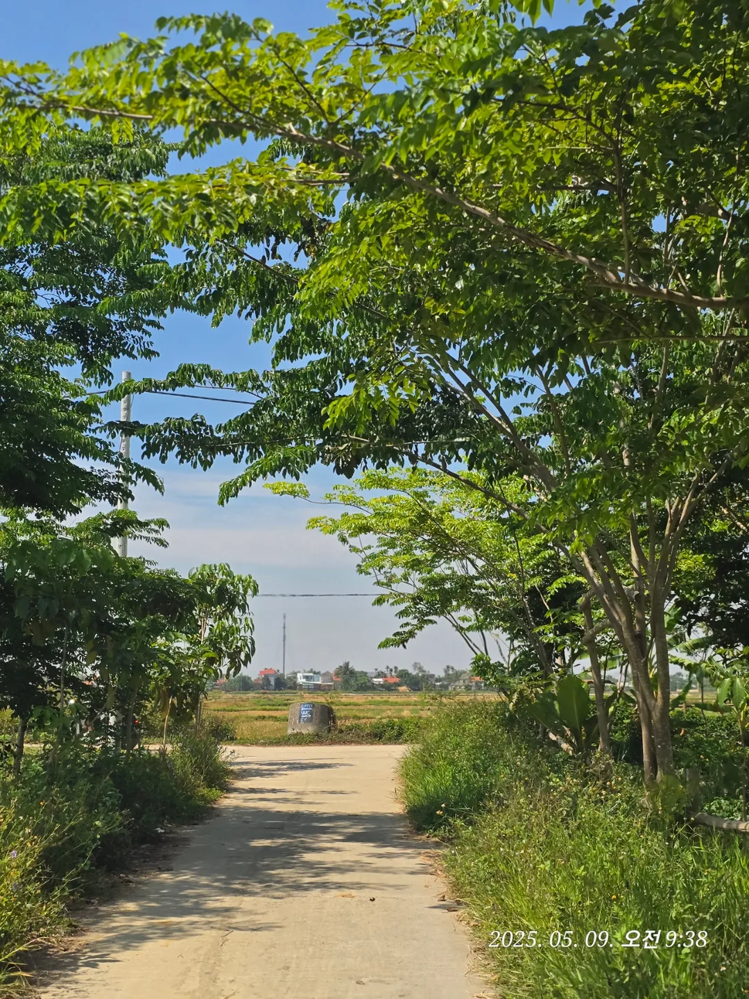 🇻🇳 Review Đà Nẵng ✈️ Lên đườ~~ng đi ngắm view ruộng lúa nào!!