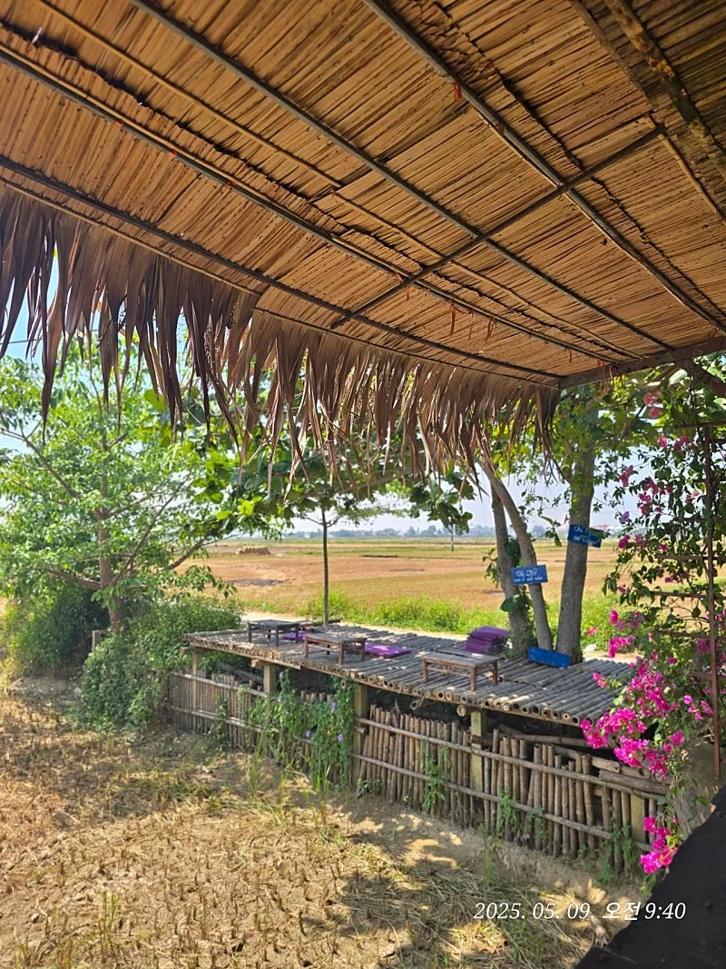 🇻🇳 Review Đà Nẵng ✈️ Lên đườ~~ng đi ngắm view ruộng lúa nào!!
