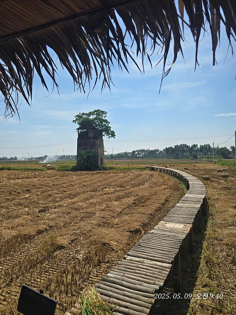 🇻🇳 Review Đà Nẵng ✈️ Lên đườ~~ng đi ngắm view ruộng lúa nào!!