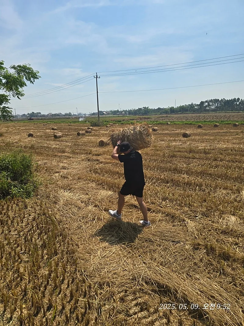 🇻🇳 Review Đà Nẵng ✈️ Lên đườ~~ng đi ngắm view ruộng lúa nào!!
