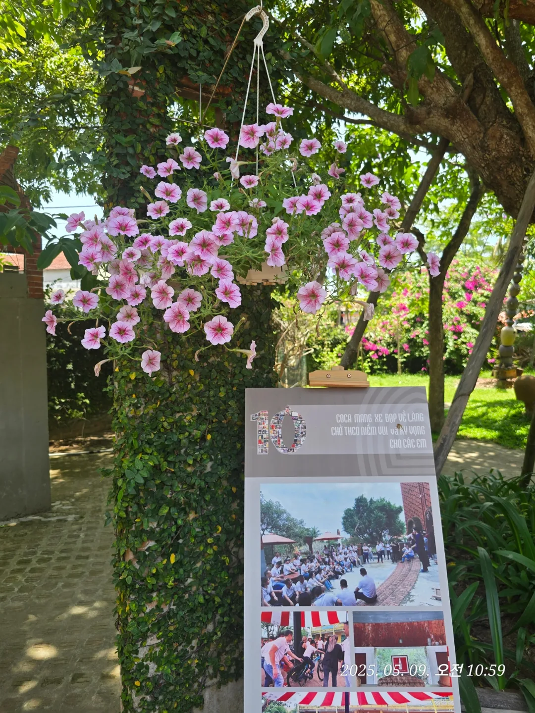 🇻🇳 Review Đà Nẵng ✈️Dạo quanh làng gốm Thanh Hà Hội An
