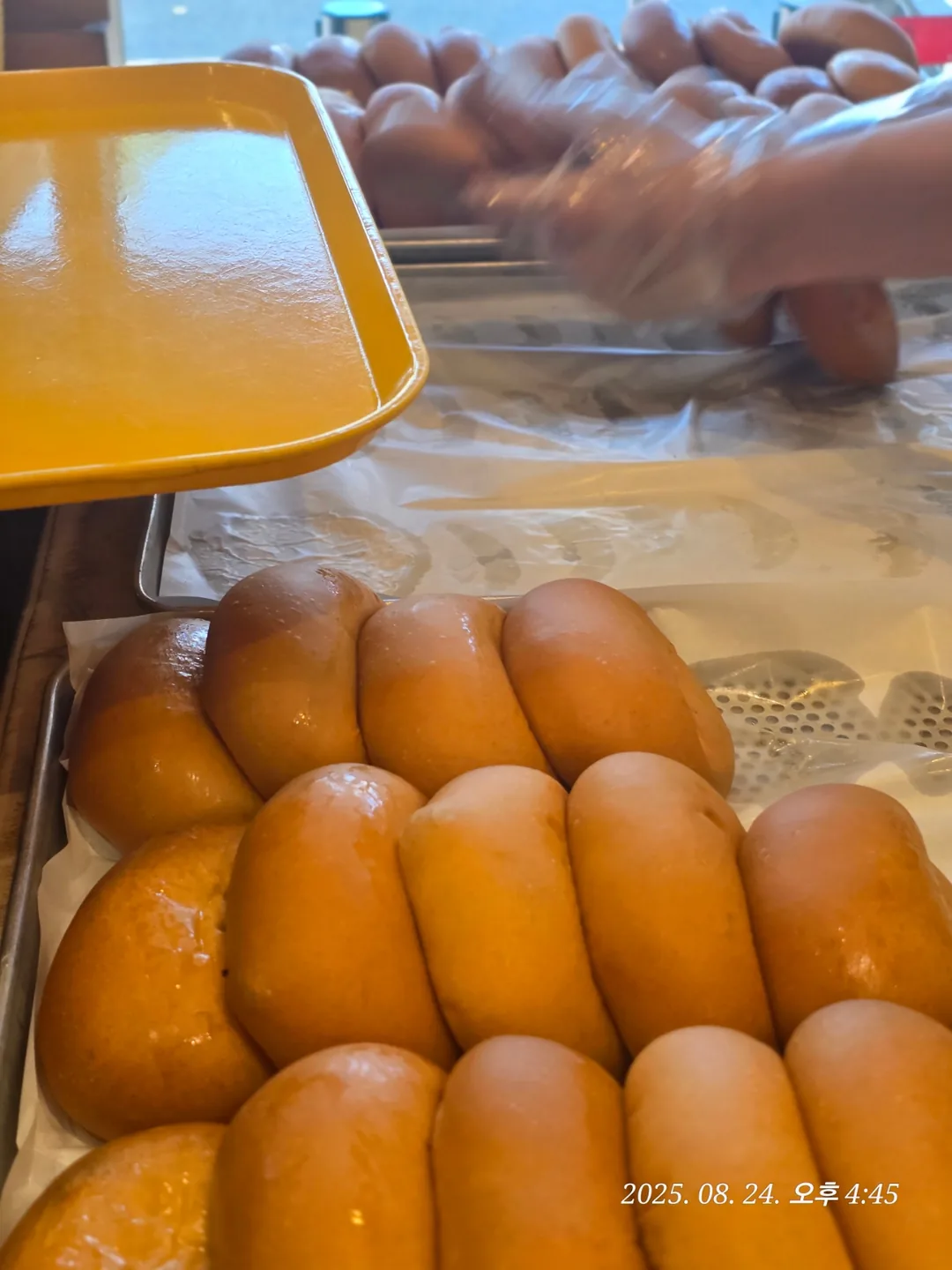 (Du lịch) Tiệm bánh Yiseongdang ở Gunsan 🥨🍞🥐🥖🫓🥯🥞
