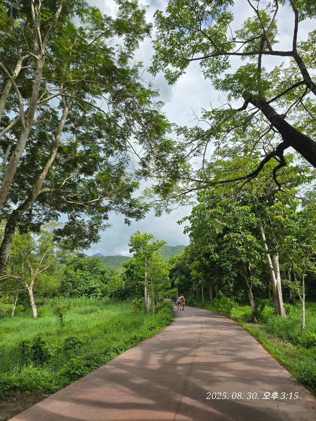 Review Đà Nẵng ✈️ Khám phá di tích Mỹ Sơn 2