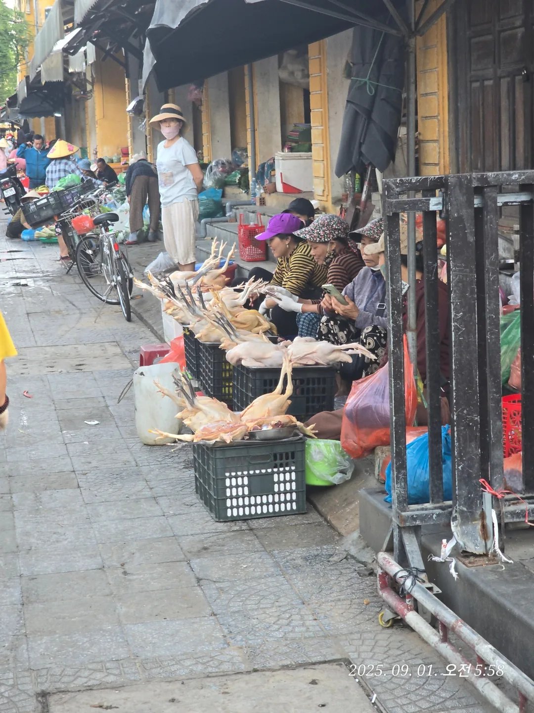 Review Đà Nẵng ✈️ Dạo quanh chợ sáng sớm Hội An