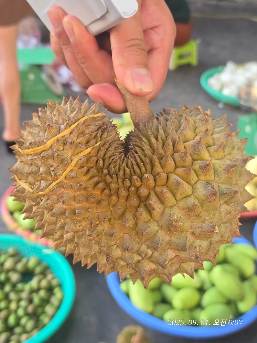 Review Đà Nẵng ✈️ Hội An Mini ❤️ sầu riêng😋