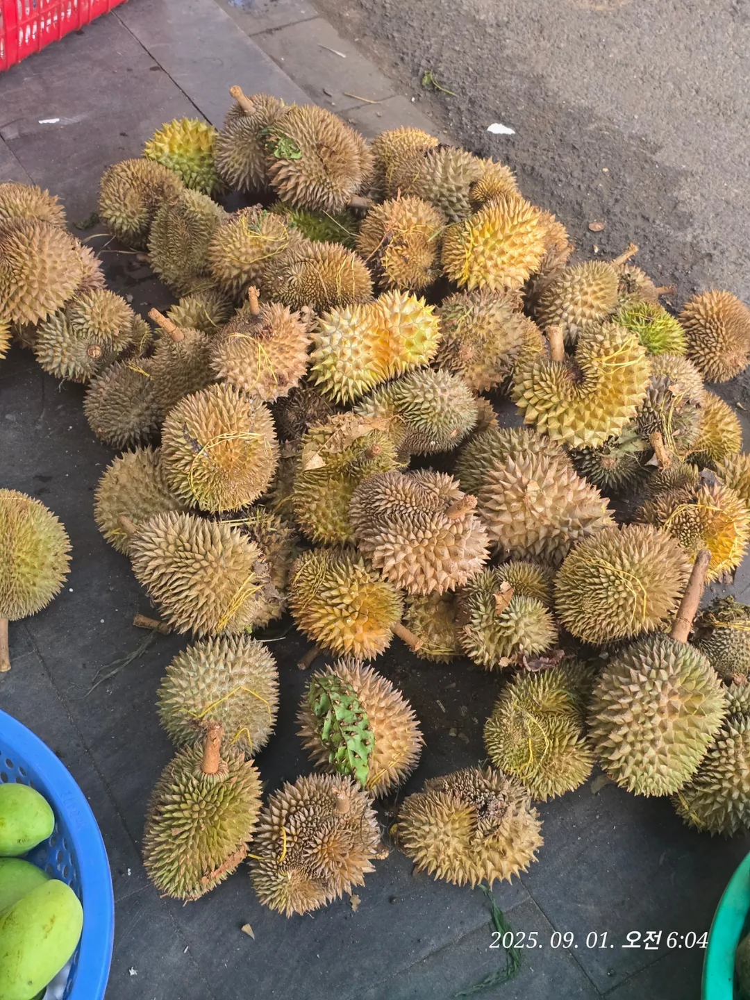 Review Đà Nẵng ✈️ Hội An Mini ❤️ sầu riêng😋