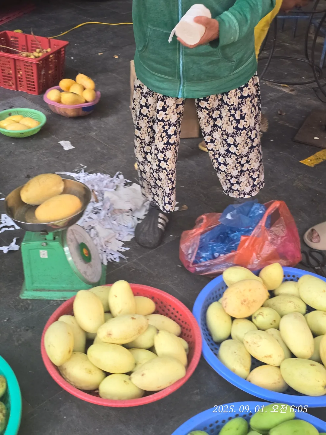 Review Đà Nẵng ✈️ Hội An Mini ❤️ sầu riêng😋