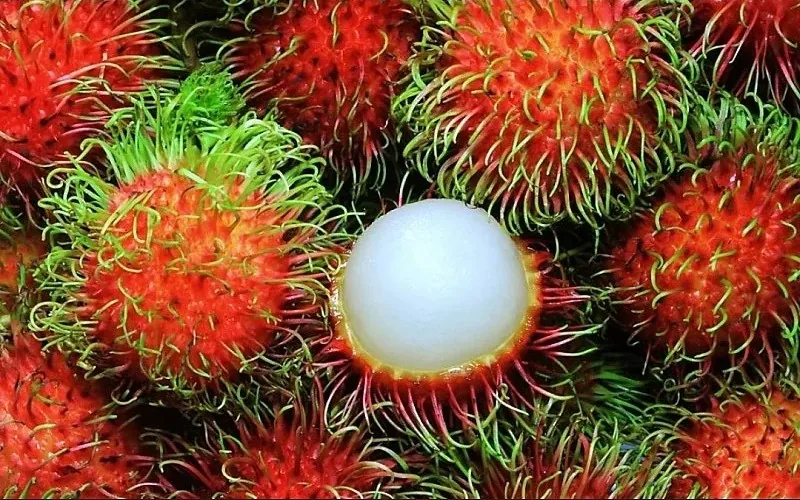 (Thông tin) Xin giới thiệu về trái cây theo mùa (theo tháng) của Việt Nam.